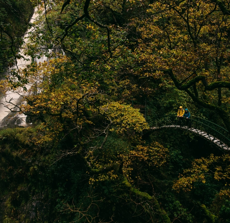 A couple on a footbridge next to a waterfall, surrounded by trees.