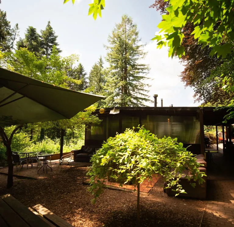Forest Tea Rooms, Tongwynlais 