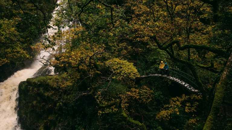 A couple on a footbridge next to a waterfall, surrounded by trees.