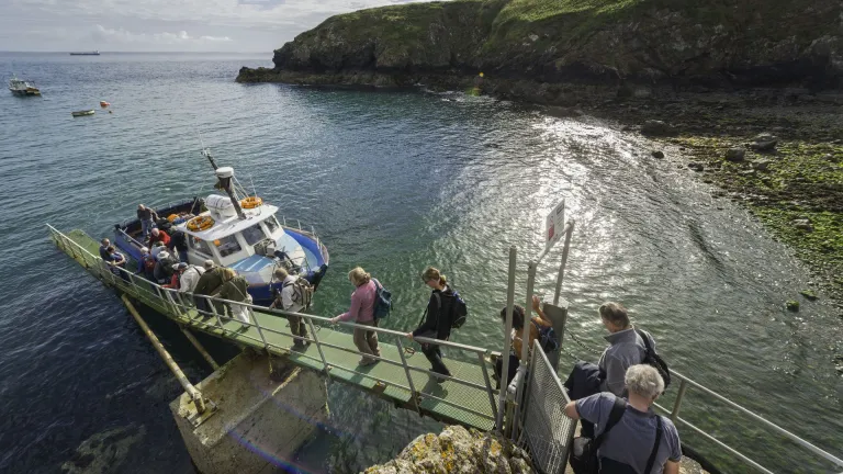 Group boarding Dale Princess boat at Martin's Haven, Skomer, Pembrokeshire.