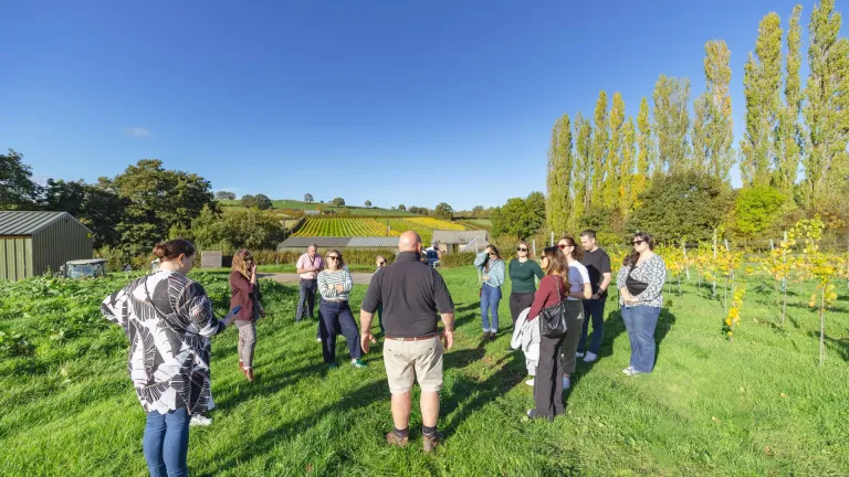 White Castle Vineyard during a Visit Wales familiarisation visit organised in partnership with UKinbound.