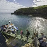 Group boarding Dale Princess boat at Martin's Haven, Skomer, Pembrokeshire.