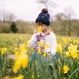 A young girl stands in a field of bright yellow daffodils in spring. She wears a navy knitted hat with a pom-pom, a striped scarf, and a white jumper, sniffing a flower. 