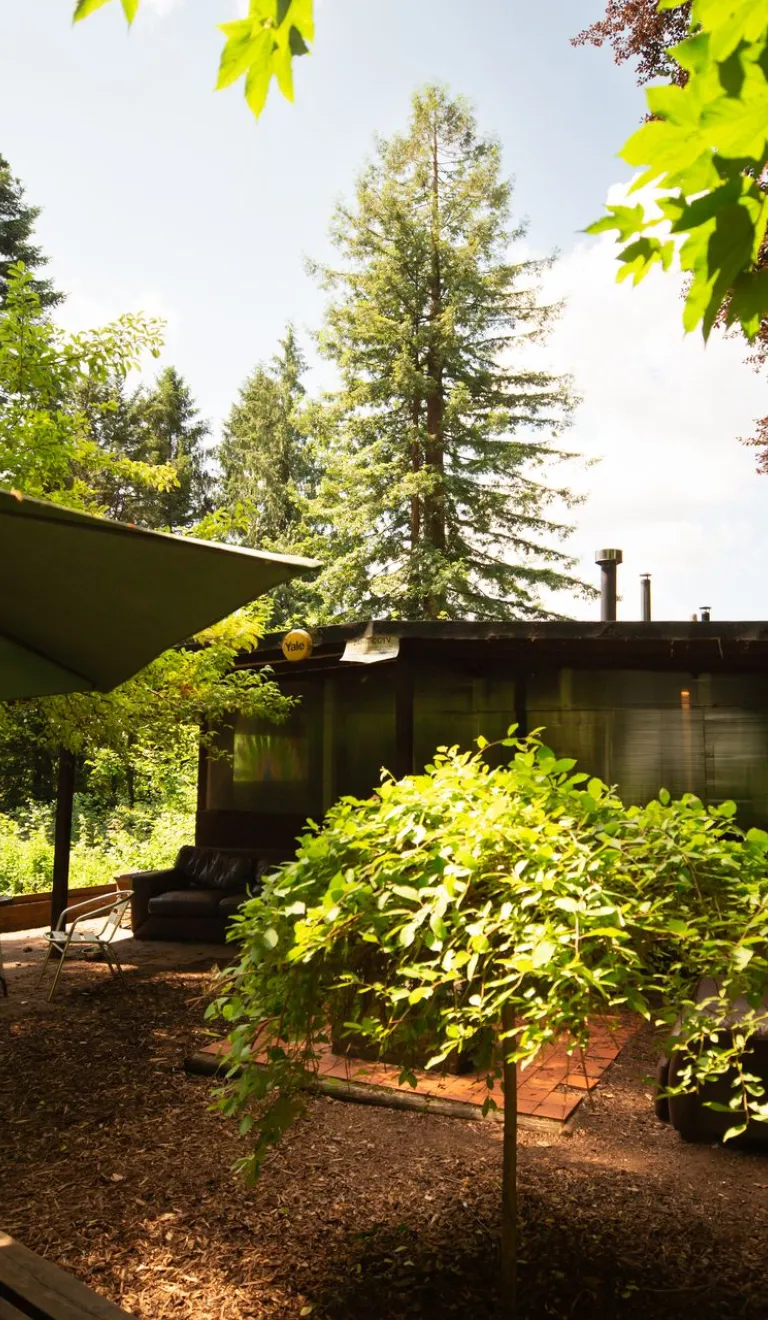 Forest Tea Rooms, Tongwynlais 